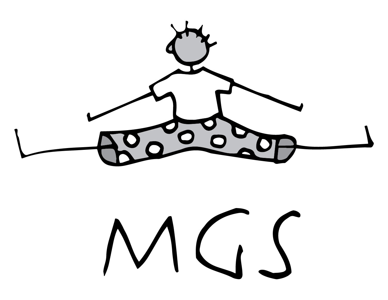 ./companies/MGS.jpg
